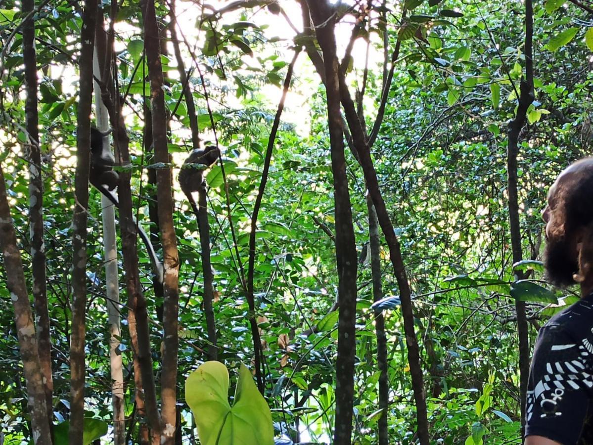 CASA DA MATA descanso e sossego na natureza Ibicoara Exterior foto