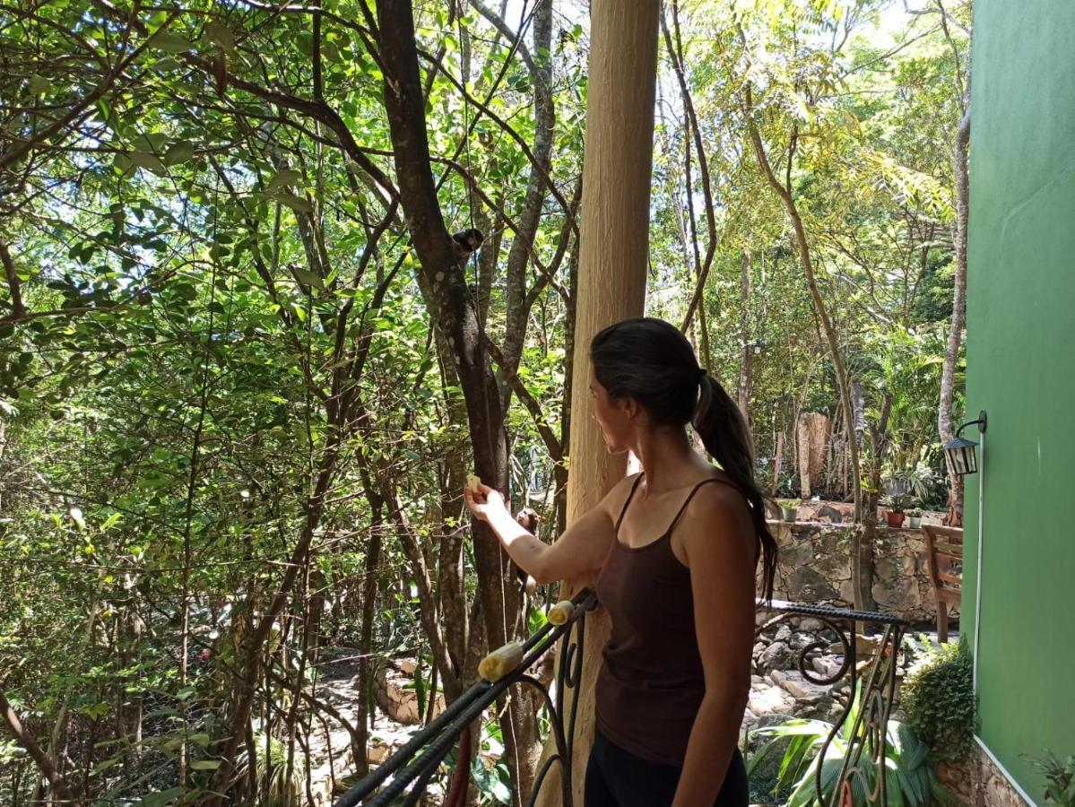 CASA DA MATA descanso e sossego na natureza Ibicoara Exterior foto